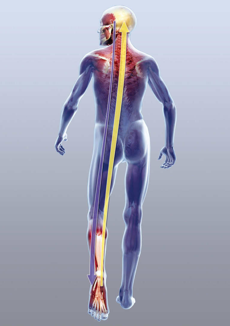 Privatsprechstunde Orthopädie Schleiz